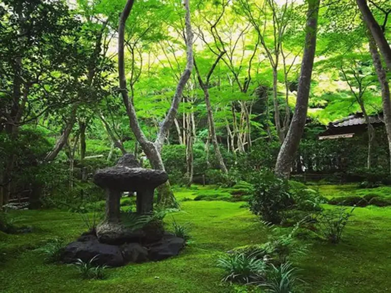 JardinJapon